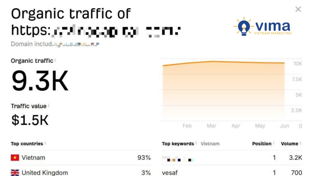 Traffic nhìn cao, nhưng từ khóa top ít, chuyển đổi thấp, dễ mất top nếu không nâng cấp SEO