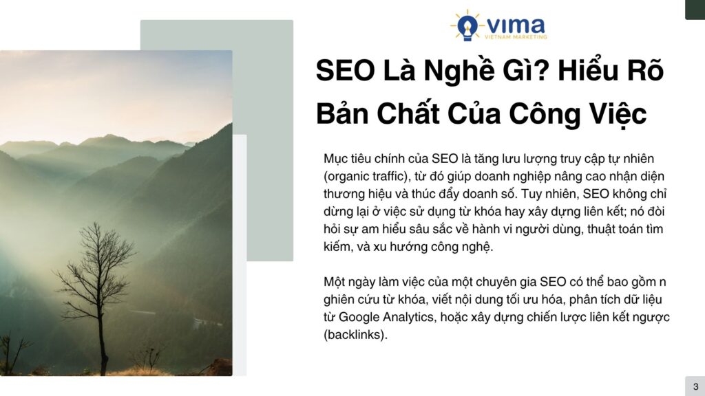 Bạn Có Phù Hợp Với Nghề SEO Không? Khám Phá SEO Là Nghề Gì Ngay Hôm Nay