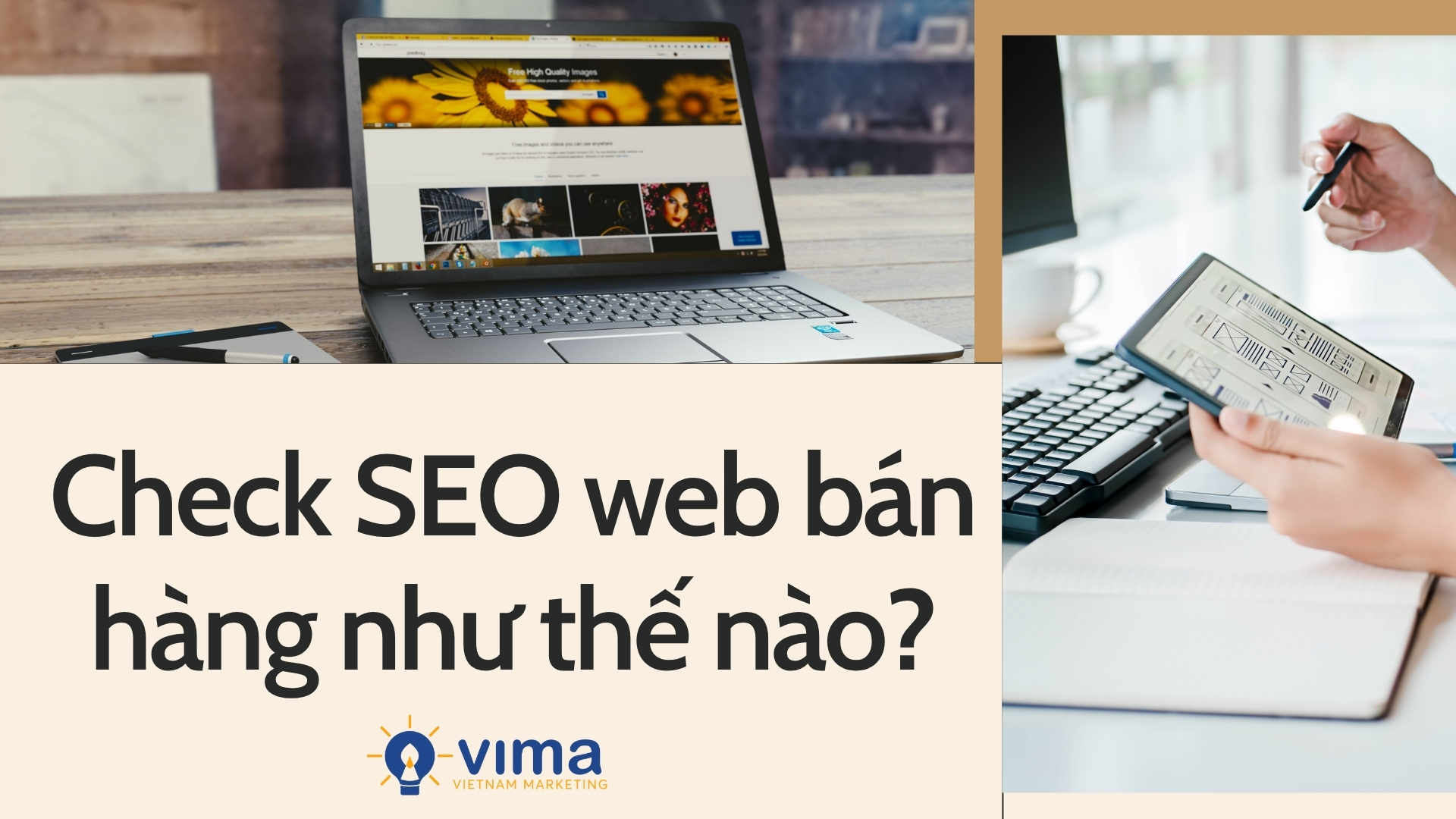 check seo web