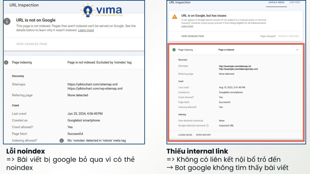 Không được index thường do 2 lỗi: gắn thẻ noindex và thiếu liên kết nội bộ – hãy kiểm tra kỹ trước khi trách Google.