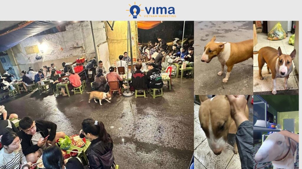 Quán đồ nướng "thơm lây" vì sở hữu chú chó giống nhân vật "Cậu Vàng" trong game "phở anh Hai".
