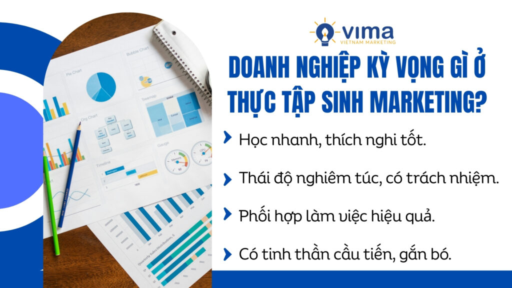 Doanh nghiệp không tìm kiếm một “nhân sự hoàn chỉnh”, mà tìm một người có tiềm năng để đào tạo và đồng hành.