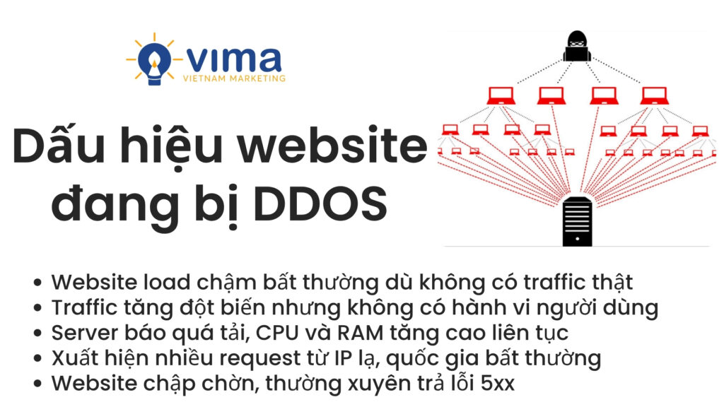 Website có thể chậm, lỗi hoặc traffic bất thường khi hệ thống bị quá tải đột ngột